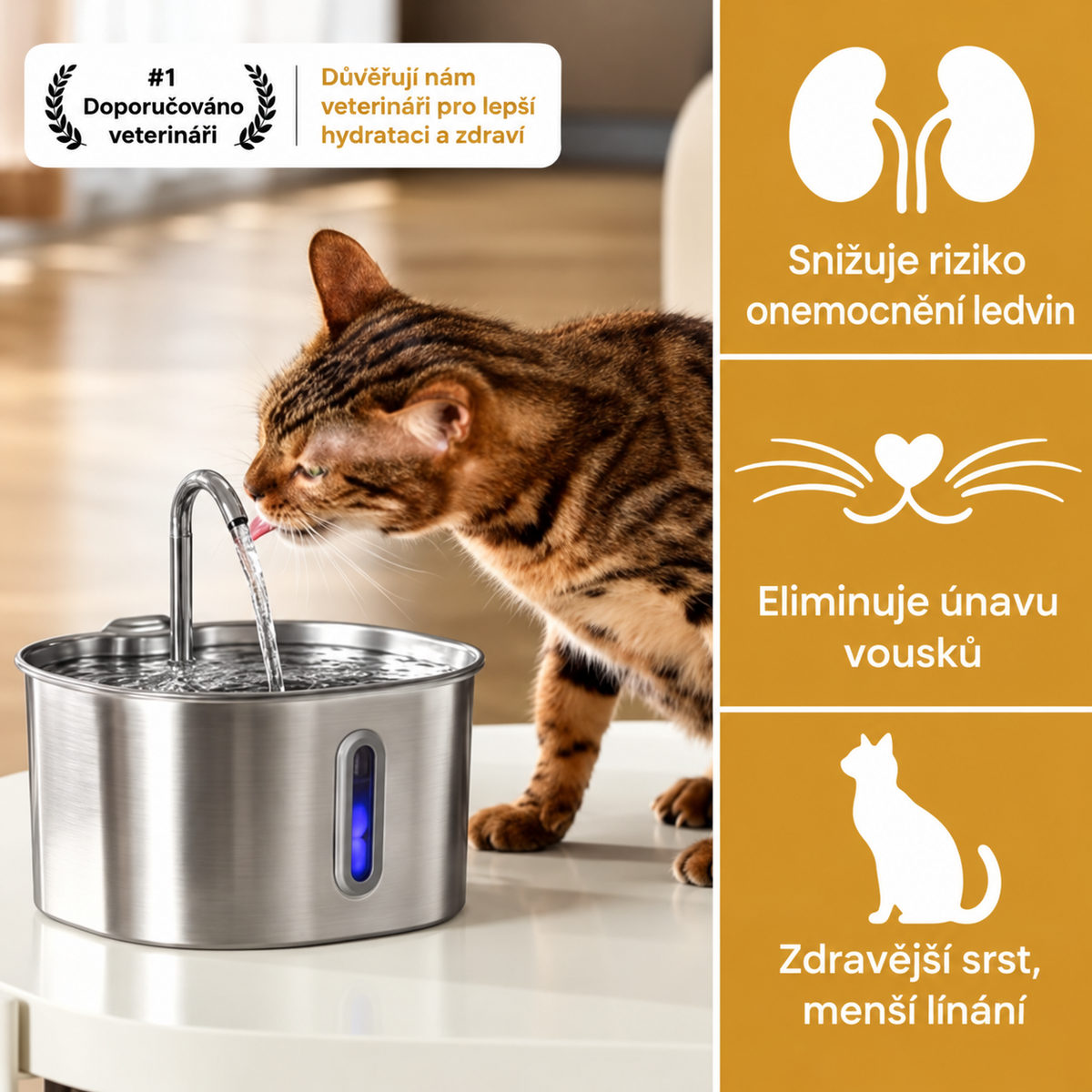 EasyPaws™ - 2.2L Fountain1