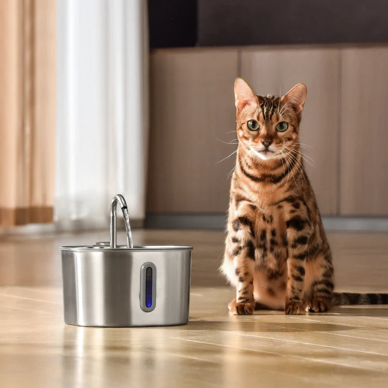 EasyPaws™ - 2.2L Fountain1