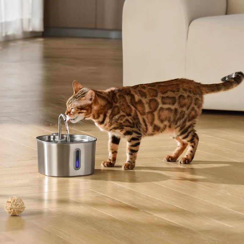 EasyPaws™ - 2.2L Fountain1