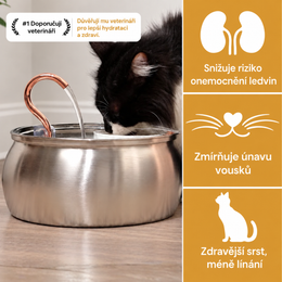 Easy Paws™ AquaFlow 4L